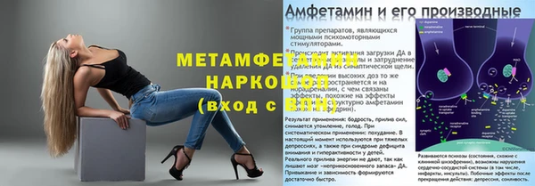 мяу мяу мука Абаза