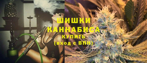 индика Алзамай