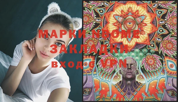 индика Алзамай